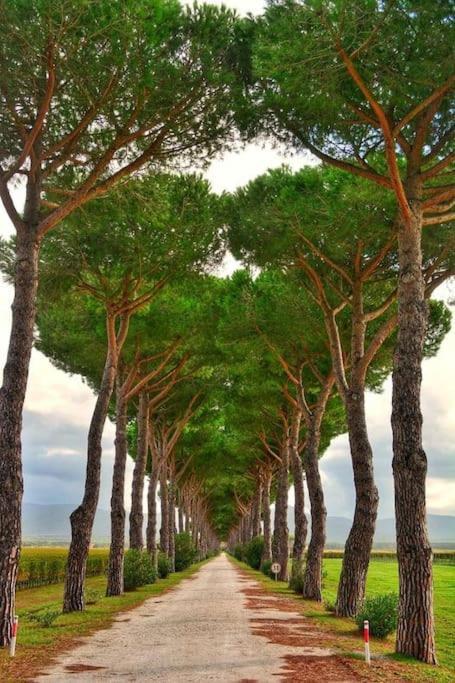 Appartamento Montenero Vista Mare Livorno Dış mekan fotoğraf
